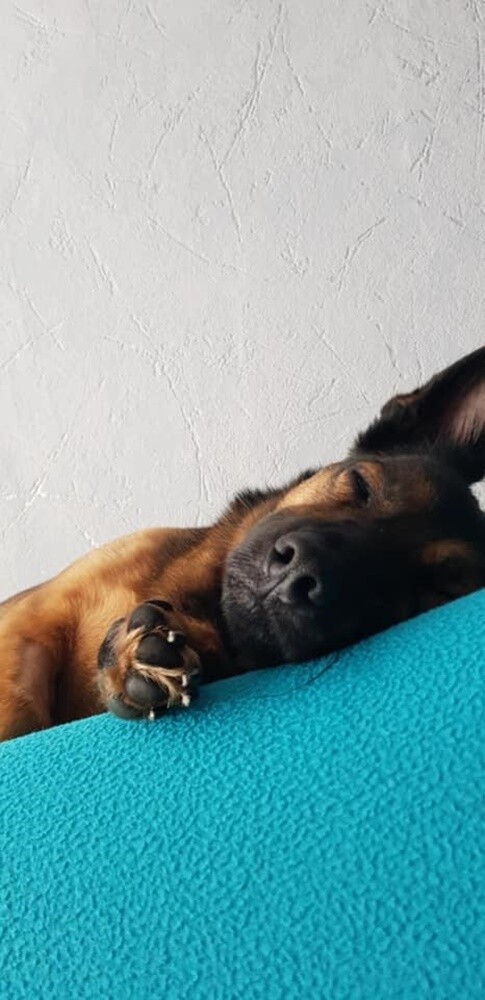 Dzień Kundelka 2024. / fot. Czytelnicy