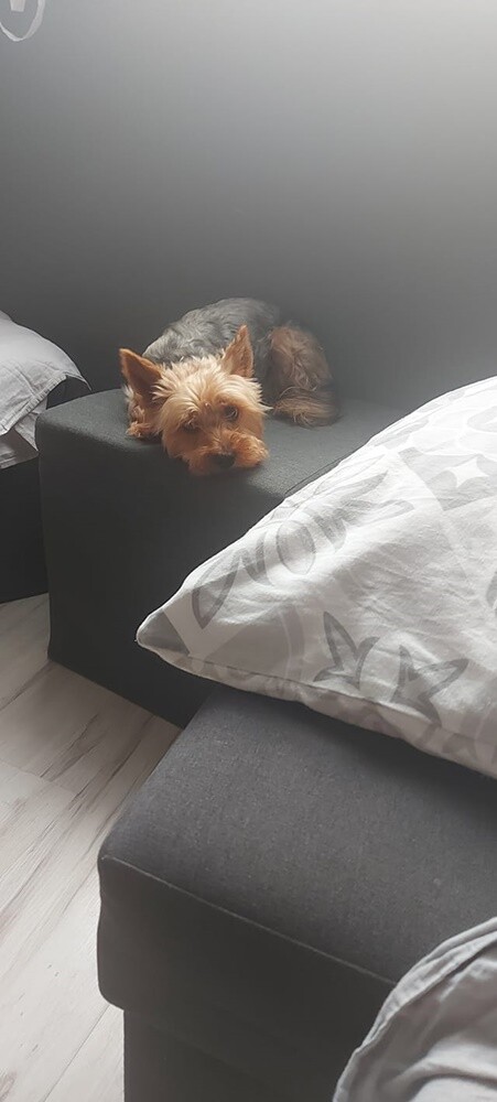 Dzień Kundelka 2024. / fot. Czytelnicy