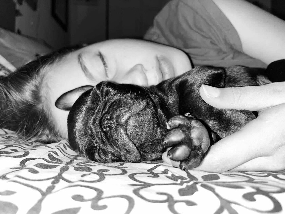 Dzień Kundelka 2024. / fot. Czytelnicy