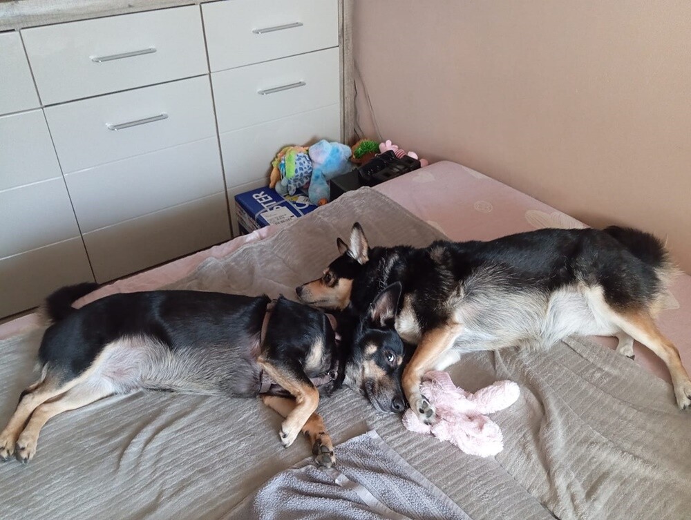 Dzień Kundelka 2024. / fot. Czytelnicy