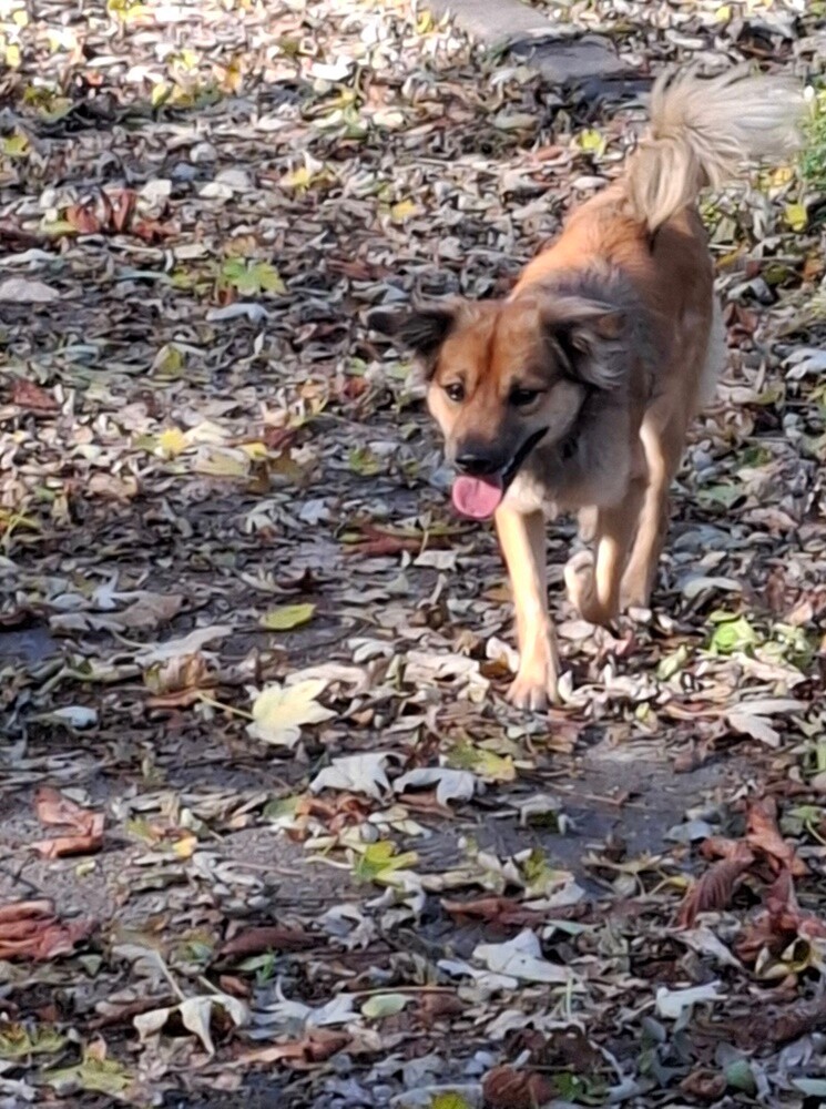 Dzień Kundelka 2024. / fot. Czytelnicy