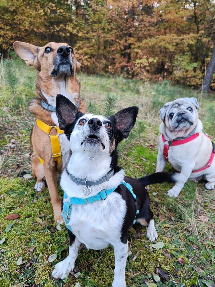 Dzień Kundelka 2024. / fot. Czytelnicy