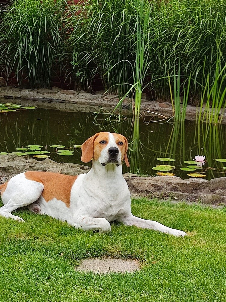 Dzień Kundelka 2024. / fot. Czytelnicy