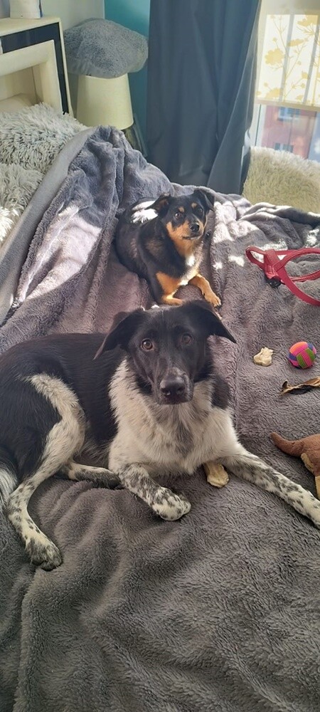 Dzień Kundelka 2024. / fot. Czytelnicy