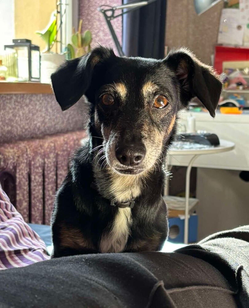 Dzień Kundelka 2024. / fot. Czytelnicy