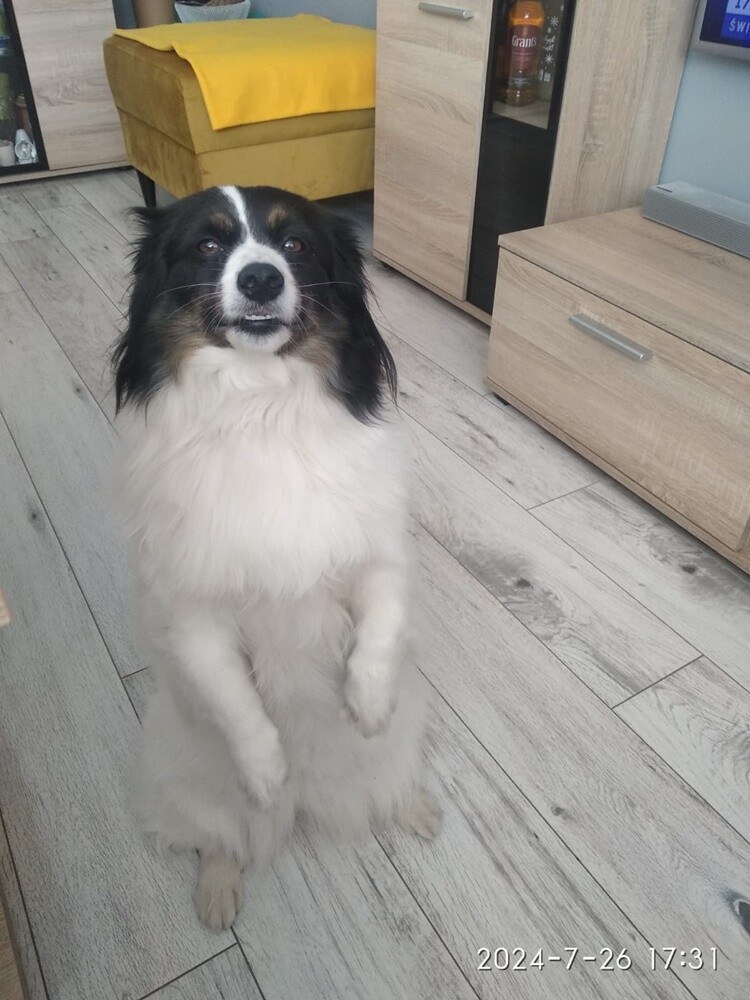 Dzień Kundelka 2024. / fot. Czytelnicy