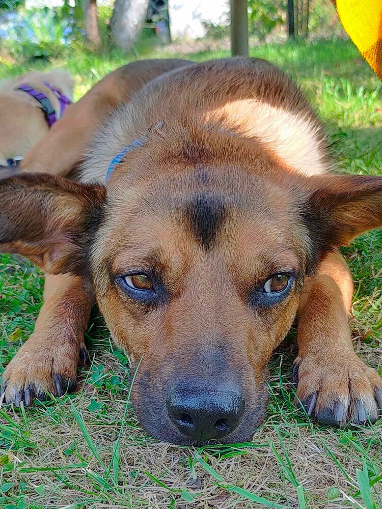 Dzień Kundelka 2024. / fot. Czytelnicy