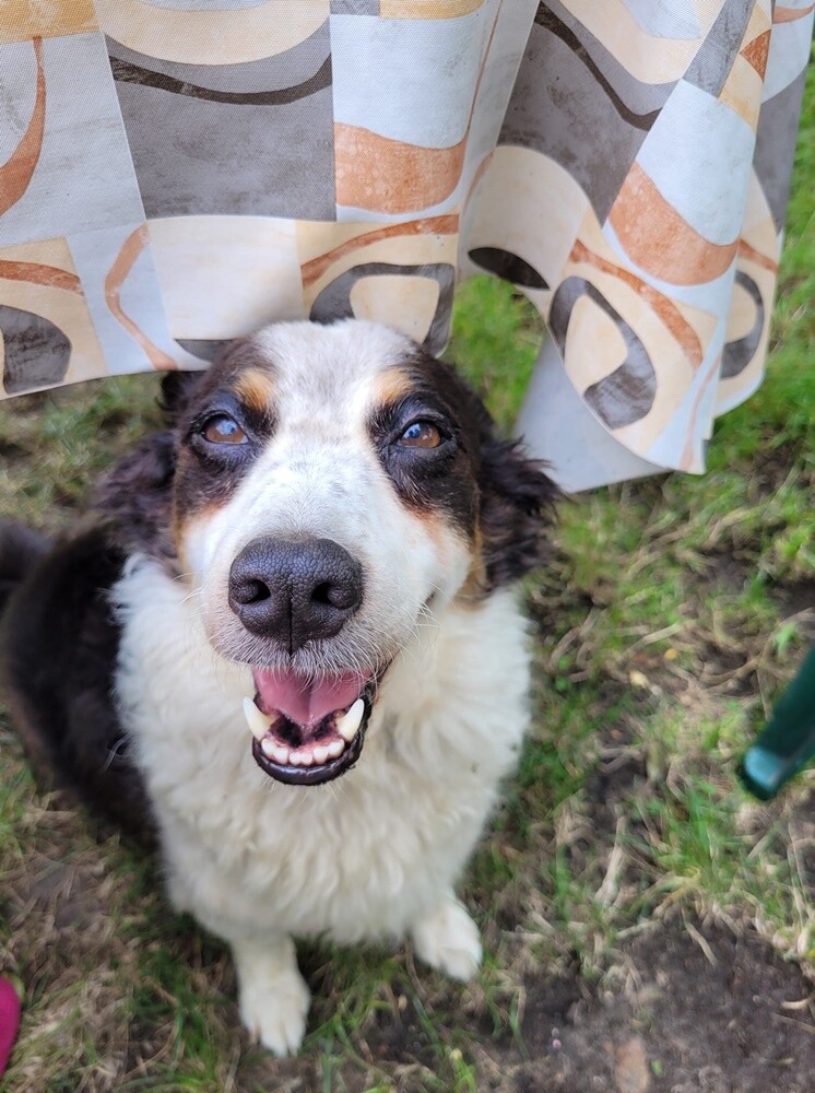 Dzień Kundelka 2024. / fot. Czytelnicy