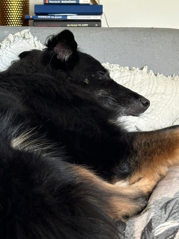 Dzień Kundelka 2024. / fot. Czytelnicy