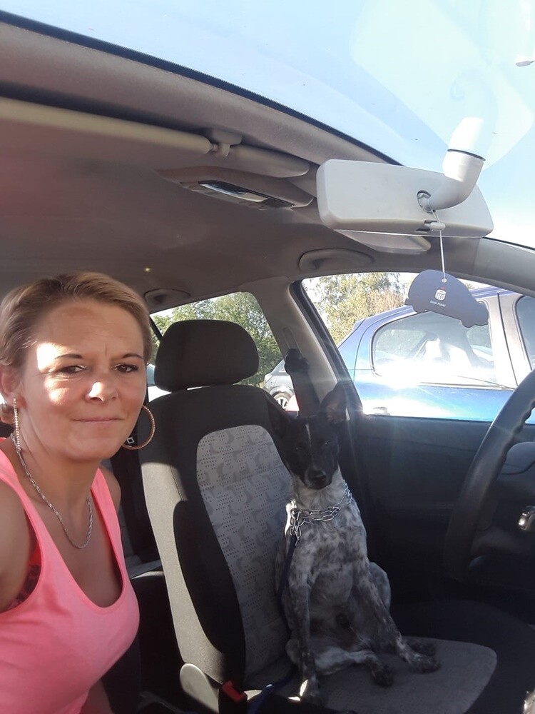 Kudłate, łaciate, rasowe i te wyjątkowe kundelki - wszystkie obchodziły wczoraj swoje święto. Wczoraj świętowaliśmy Międzynarodowy Dzień Psa, czyli najlepszego przyjaciela człowieka. W związku z tym poprosiliśmy naszym Czytelników o przesyłanie zdjęć swoich czworonogów. Zobaczcie przygotowaną przez nas galerię!