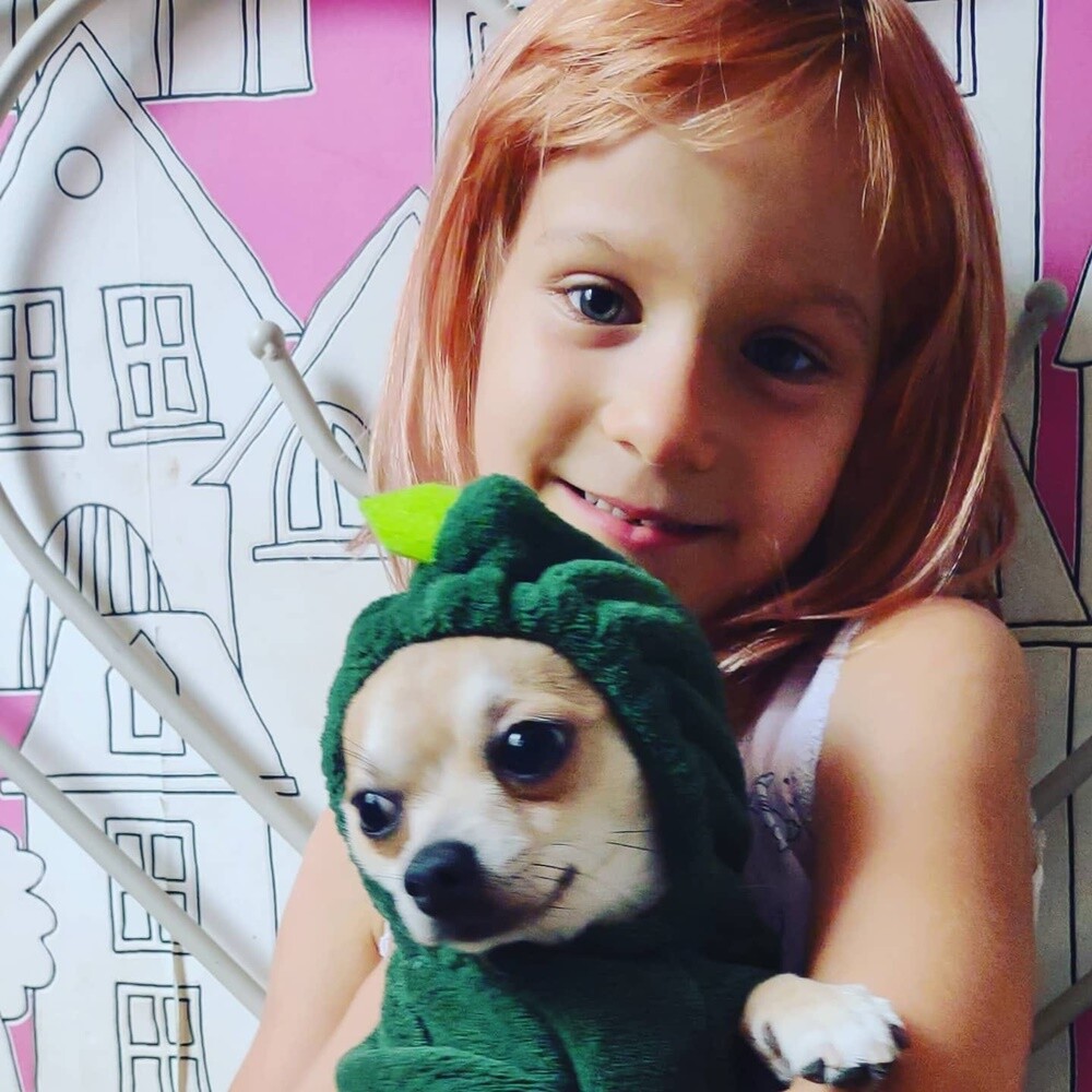 Kudłate, łaciate, rasowe i te wyjątkowe kundelki - wszystkie obchodziły wczoraj swoje święto. 1 lipca świętowaliśmy Międzynarodowy Dzień Psa, czyli najlepszego przyjaciela człowieka.