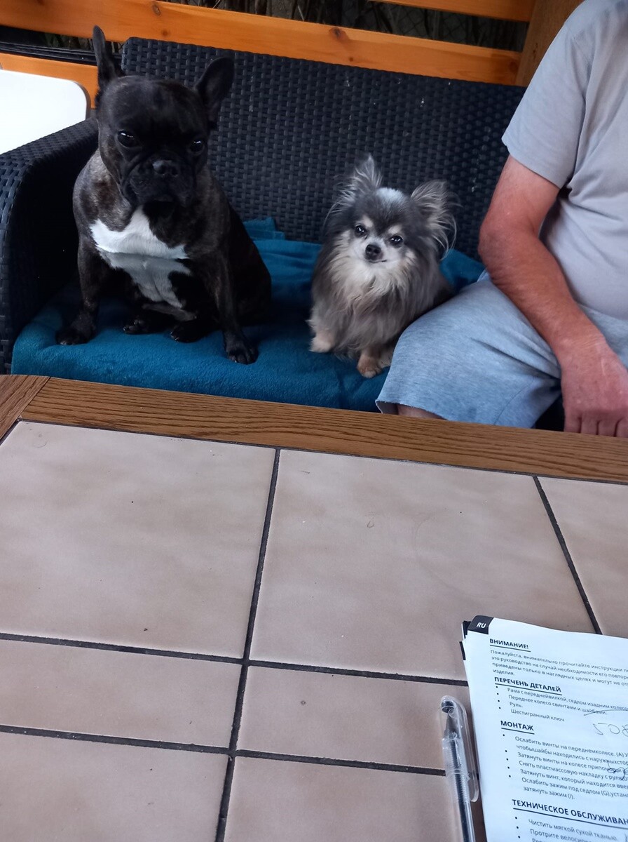 4 października obchodziliśmy Światowy Dzień Zwierząt. Oto pupile naszych Czytelników