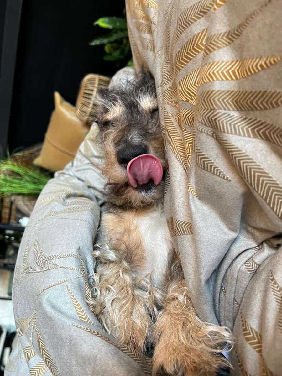 4 października obchodziliśmy Światowy Dzień Zwierząt. Oto pupile naszych Czytelników