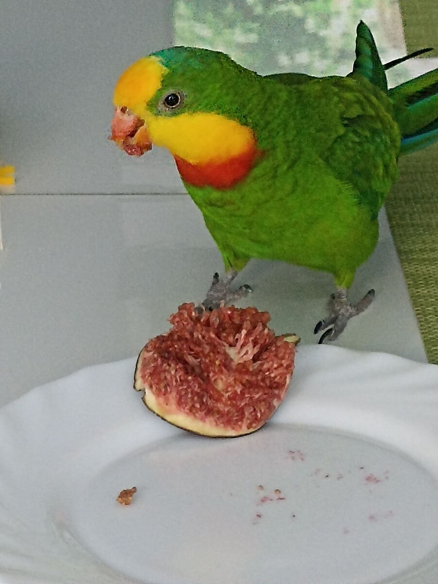 4 października obchodziliśmy Światowy Dzień Zwierząt. Oto pupile naszych Czytelników