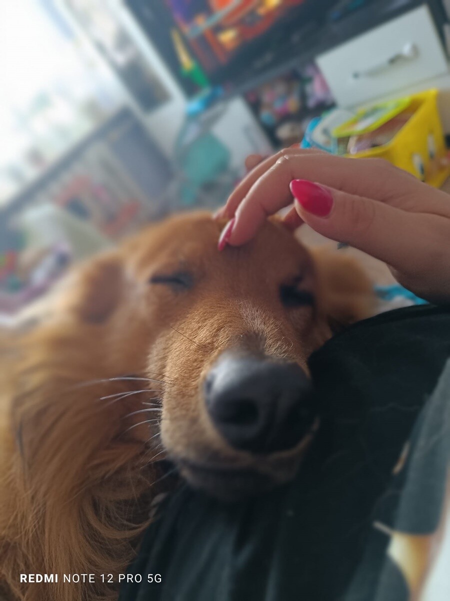 4 października obchodziliśmy Światowy Dzień Zwierząt. Oto pupile naszych Czytelników