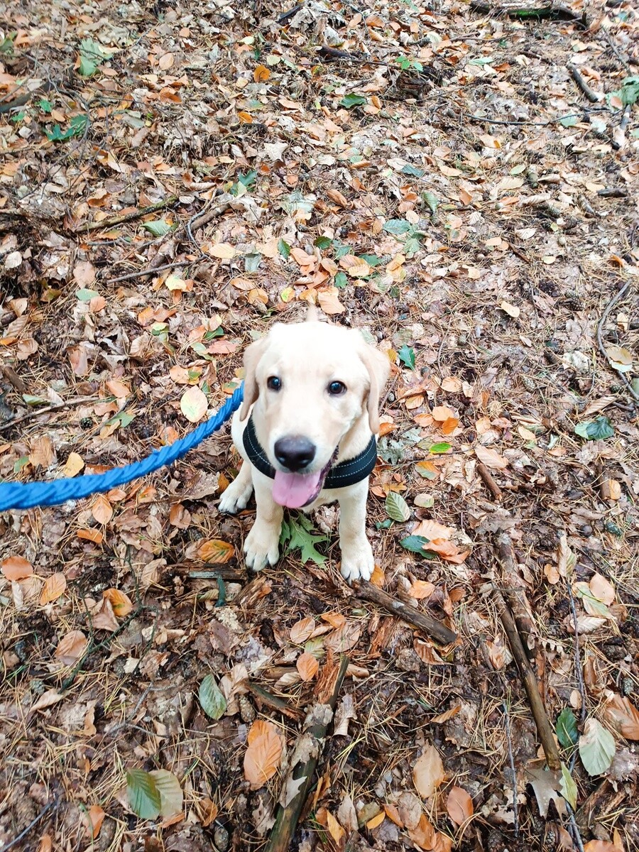 4 października obchodziliśmy Światowy Dzień Zwierząt. Oto pupile naszych Czytelników