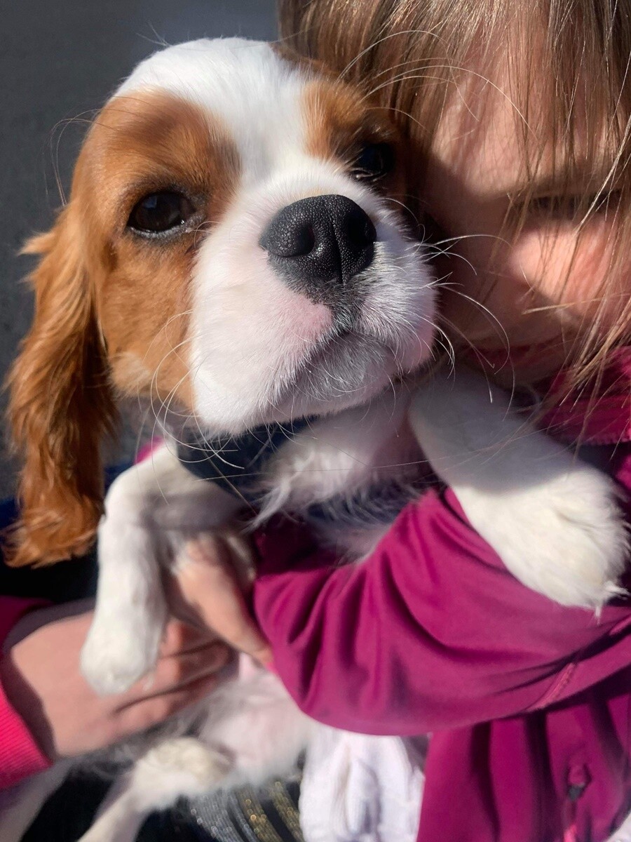 4 października obchodziliśmy Światowy Dzień Zwierząt. Oto pupile naszych Czytelników