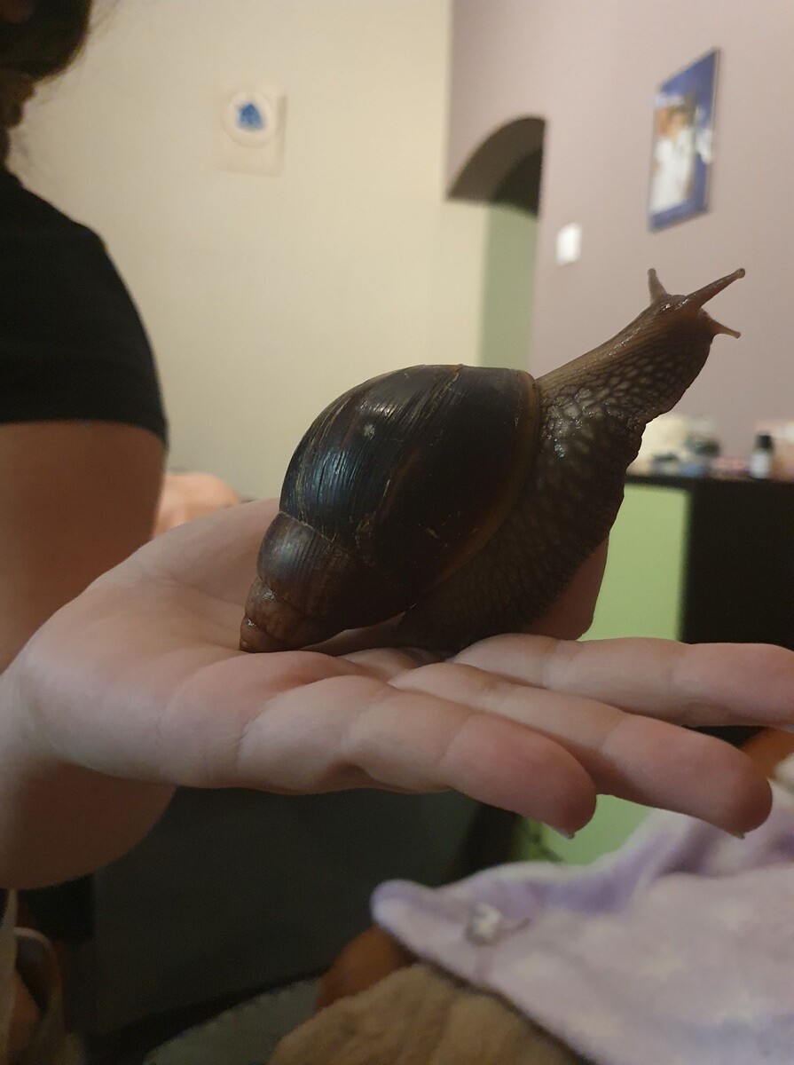 4 października obchodziliśmy Światowy Dzień Zwierząt. Oto pupile naszych Czytelników