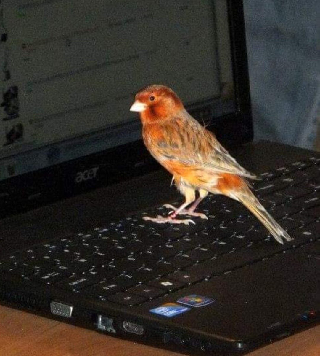 4 października obchodziliśmy Światowy Dzień Zwierząt. Oto pupile naszych Czytelników