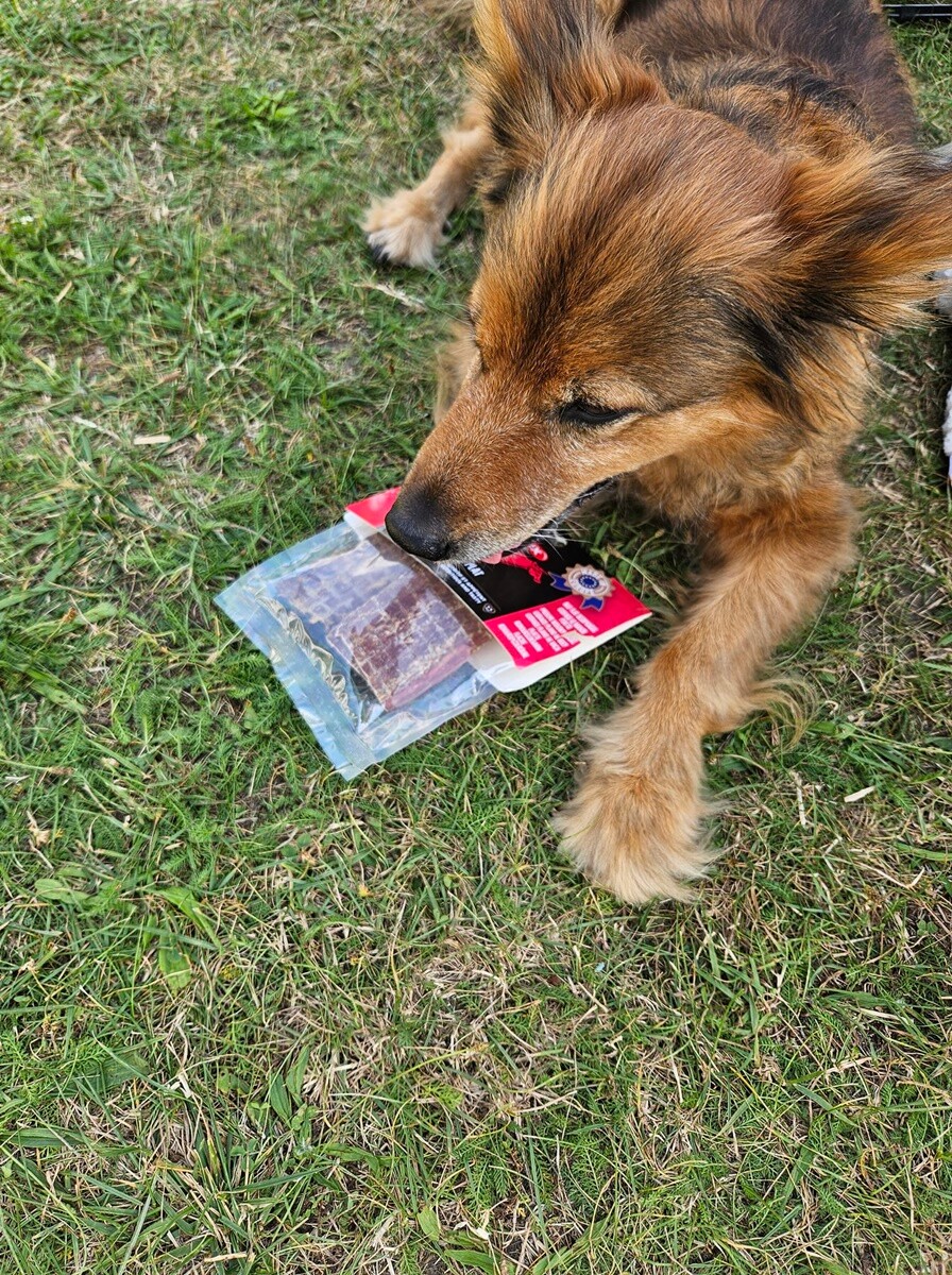 4 października obchodziliśmy Światowy Dzień Zwierząt. Oto pupile naszych Czytelników