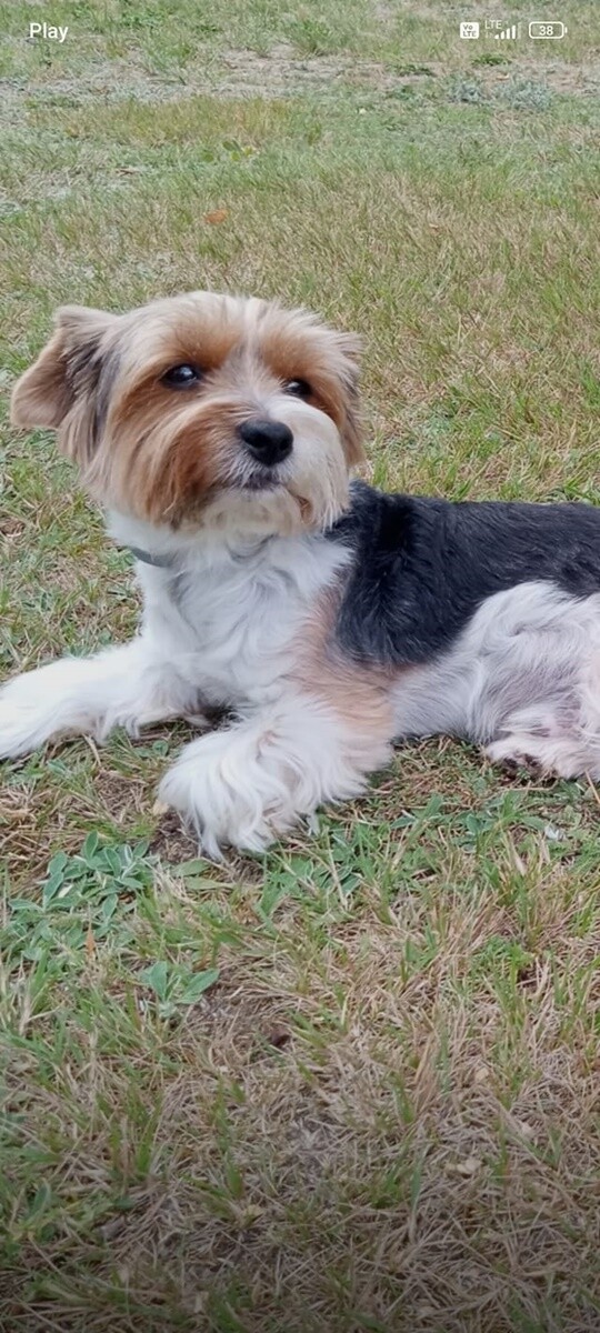 4 października obchodziliśmy Światowy Dzień Zwierząt. Oto pupile naszych Czytelników