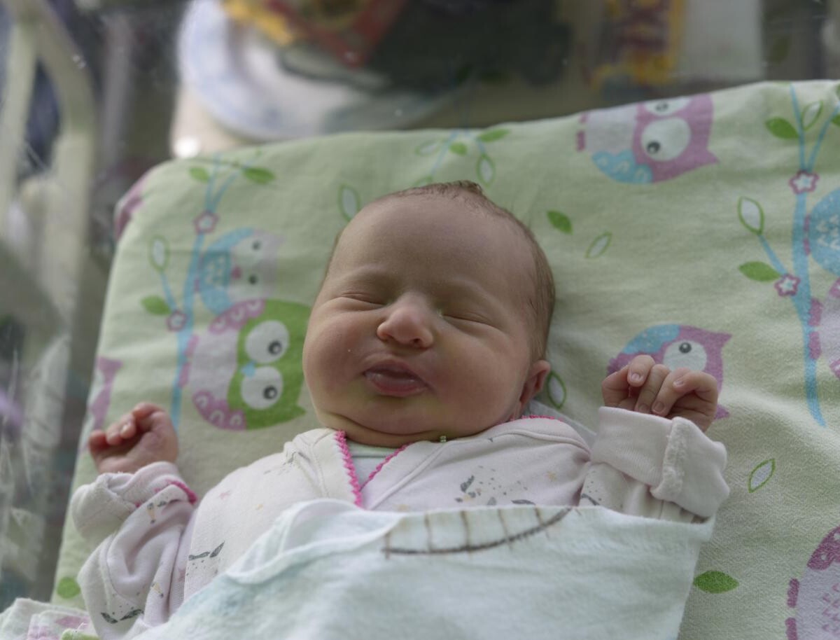 Elżbieta Róża Fornalczyk