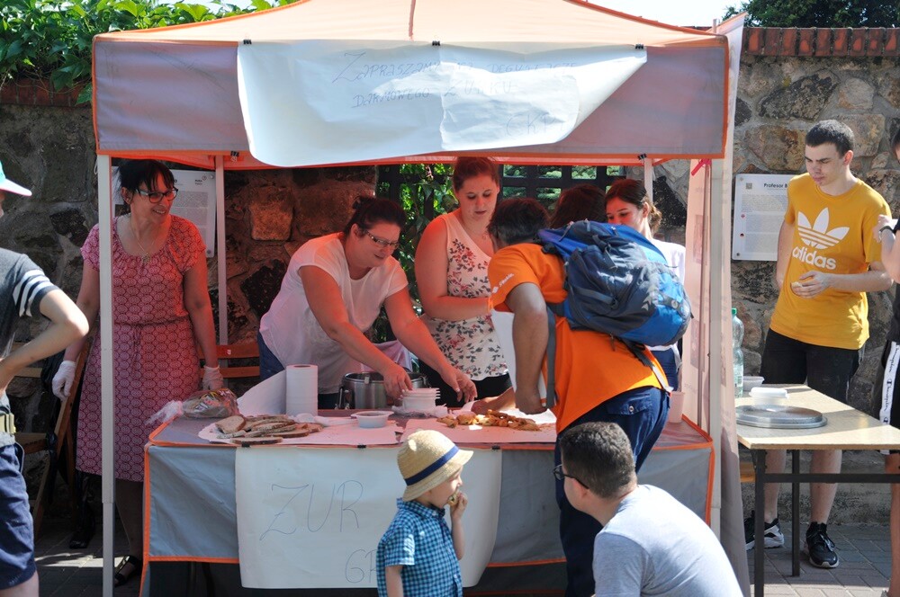 Industriada po raz kolejny zawitała do Rudy Śląskiej - na zabytkowym osiedlu Ficinus na mieszkańców czekała masa atrakcji.
