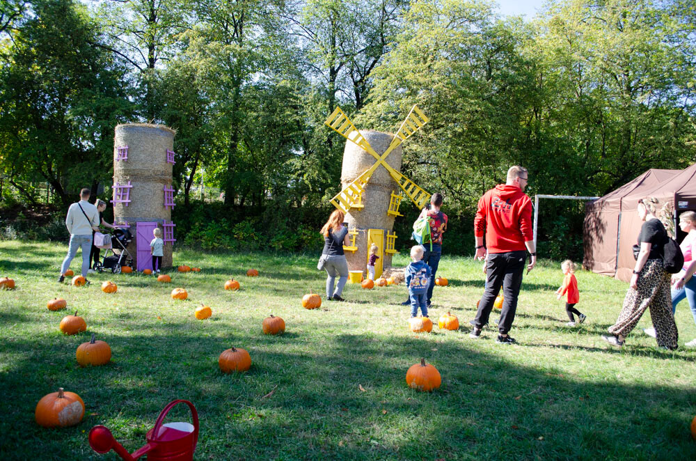 Farma Dyniowa w Rudzie Śląskiej w końcu otwarta! / fot. Marek Faber