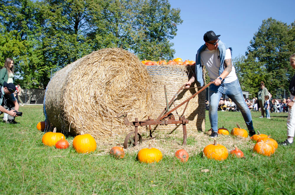 Farma Dyniowa w Rudzie Śląskiej w końcu otwarta! / fot. Marek Faber