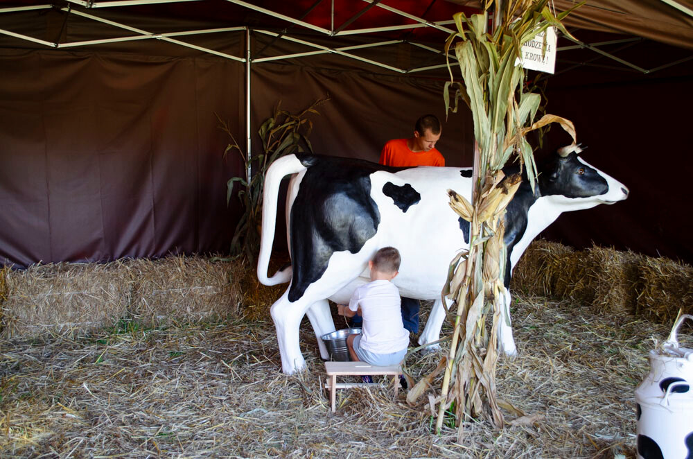 Farma Dyniowa w Rudzie Śląskiej w końcu otwarta! / fot. Marek Faber