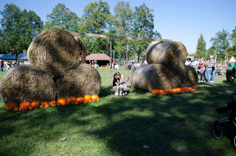 Farma Dyniowa w Rudzie Śląskiej w końcu otwarta! / fot. Marek Faber