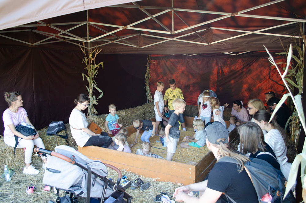 Farma Dyniowa w Rudzie Śląskiej w końcu otwarta! / fot. Marek Faber