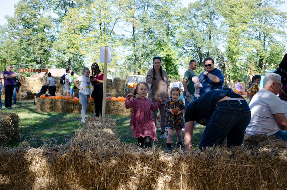 Farma Dyniowa w Rudzie Śląskiej w końcu otwarta! / fot. Marek Faber