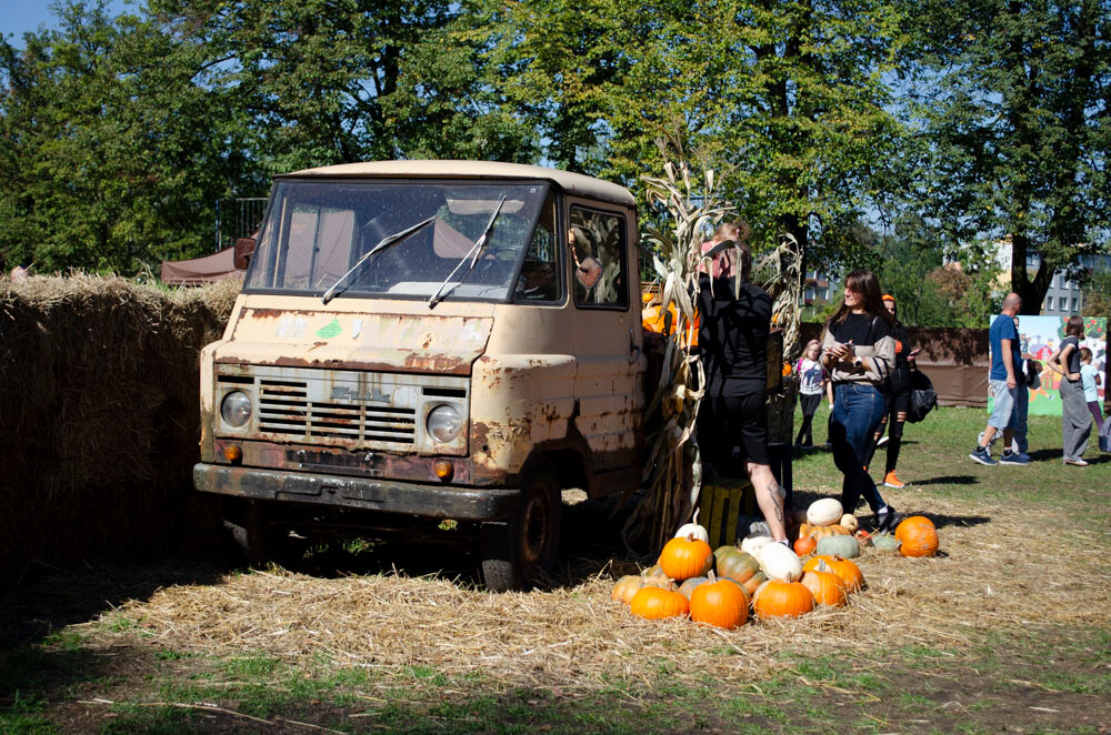 Farma Dyniowa w Rudzie Śląskiej w końcu otwarta! / fot. Marek Faber