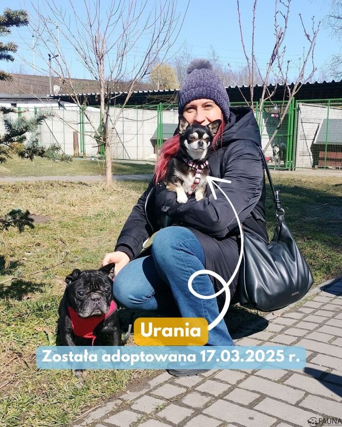 Kolejne adopcje w TOZ Fauna!/fot. TOZ Fauna