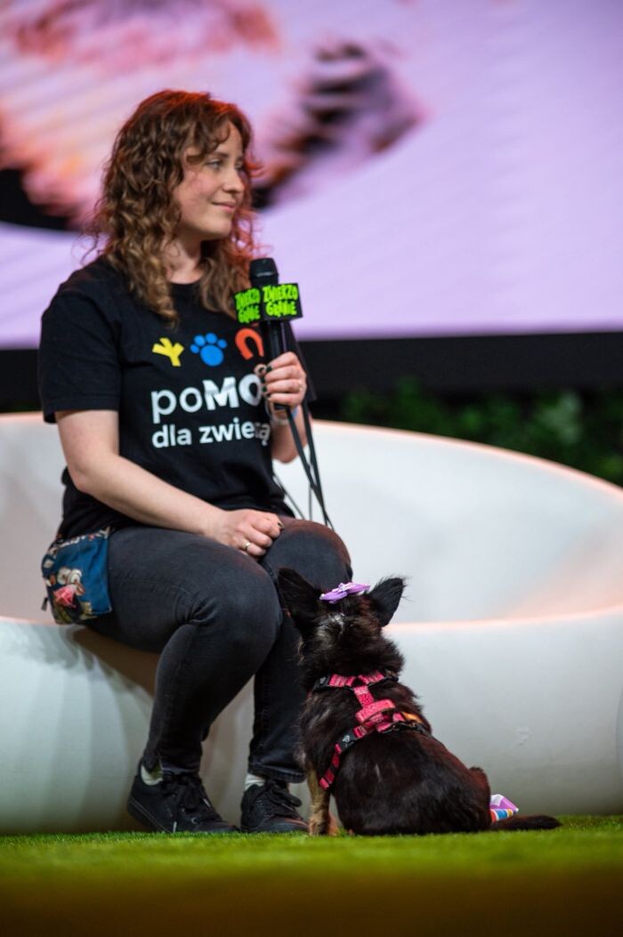 Podopieczni Fauny gwiazdami Zwierzogrania!/fot. Pluszografia