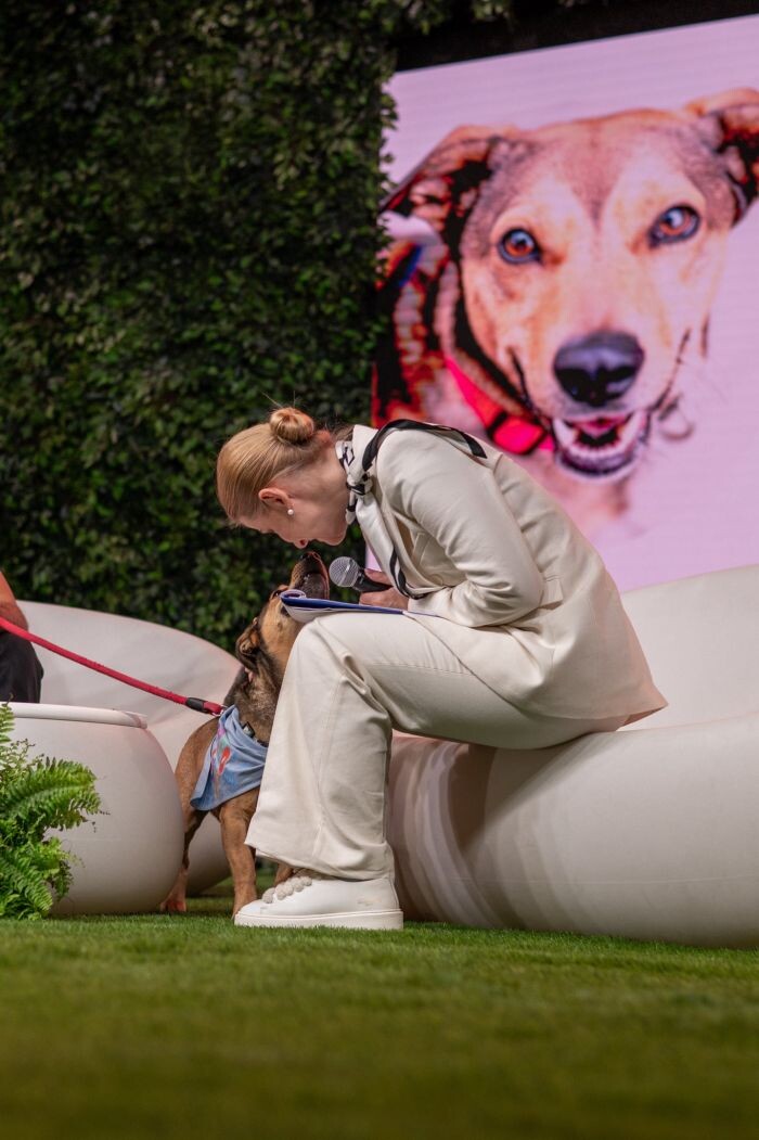 Podopieczni Fauny gwiazdami Zwierzogrania!/fot. Pluszografia