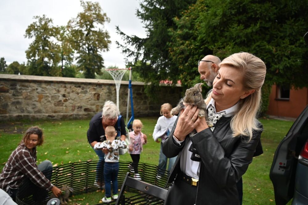 Festyn „Bądźmy radosną wspólnotą” – miejsce spotkań dla całych rodzin!/fot. FB Anna Krzysteczko