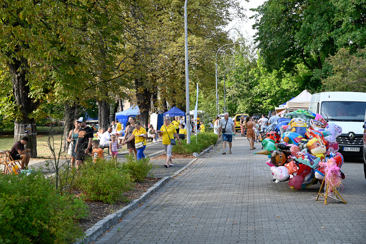 Festyn In-nY Dom Kultury. / fot. Magdalena Ruda