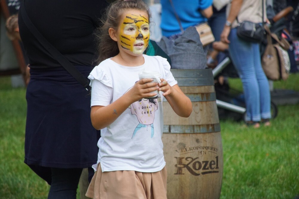 Dzisiaj w Kochłowicach odbył się festyn rodzinny  "Mieszkańcy mieszkańcom". Podczas imprezy Aleksandra Skowronek przedstawiła kandydatów na radnych z czwartego okręgu wyborczego tj. z obszaru Kochłowic i Bykowiny.
