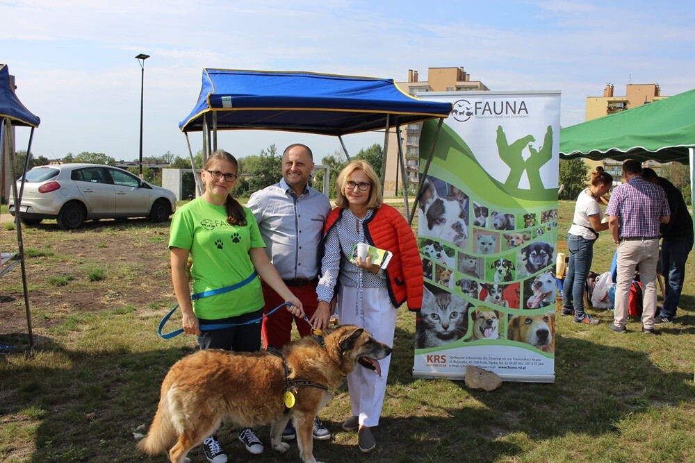 Góra Antonia była dziś miejscem, gdzie odbywał się piknik "Ruda na sportowo". Atrakcji nie brakowało - harcerze zorganizowali gry terenowe, sportowcy dali pokaz swych umiejętności i talentów, miał miejsce turniej szachowy.