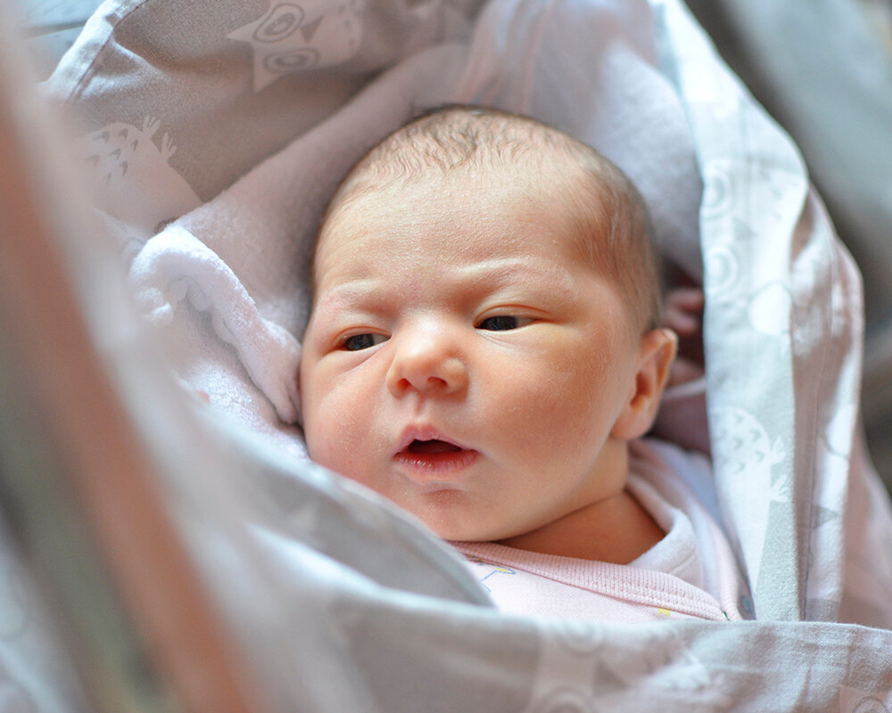 Julia Garus
ur. 07.05.2019r. 2,840 kg, 50 cm
Córka Sandry i Mateusza