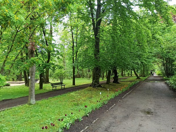 Ogród Botaniczny w Zabrzu