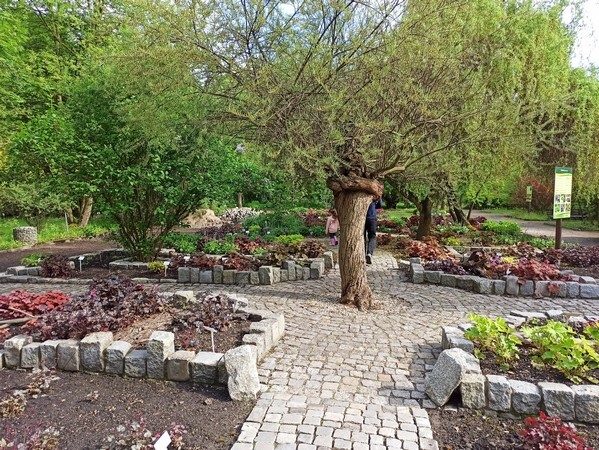 Ogród Botaniczny w Zabrzu
