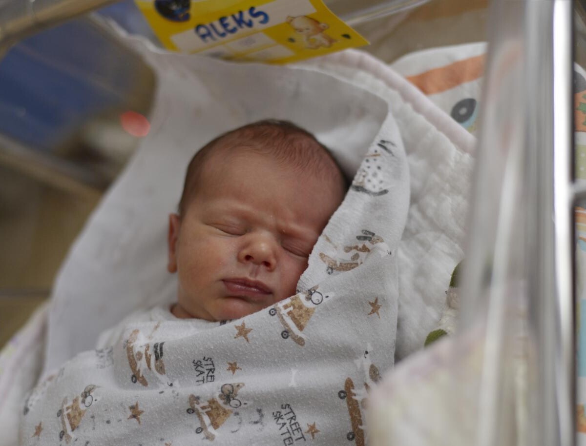 Alex Krygier
ur. 06.12.2024,3380 g i 53 cm
Syn Sandry i Mirosława