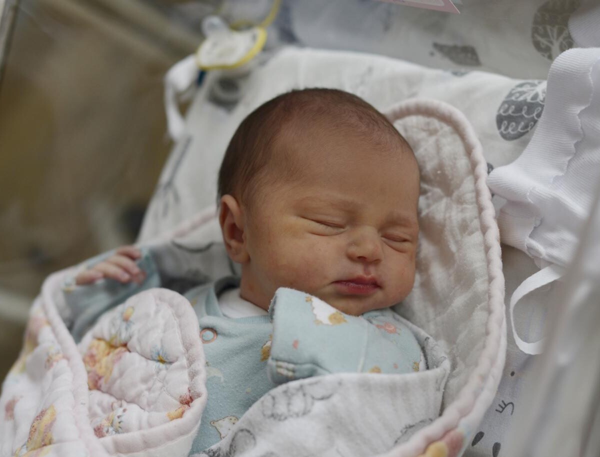 Laura Gorczewska
ur. 06.02.2025, 3150 g i 53 cm
Córka Klaudii i Łukasza