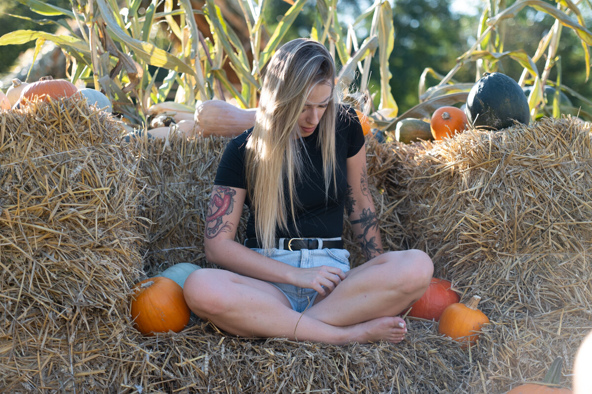 W mieście pojawiła się kolorowa dyniowa farma! / fot. Marek Faber