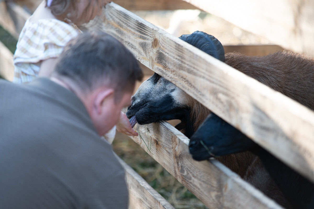W mieście pojawiła się kolorowa dyniowa farma! / fot. Marek Faber
