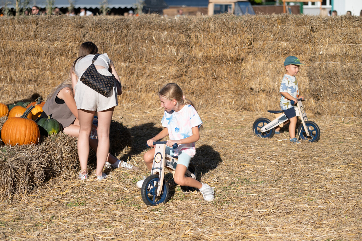 W mieście pojawiła się kolorowa dyniowa farma! / fot. Marek Faber