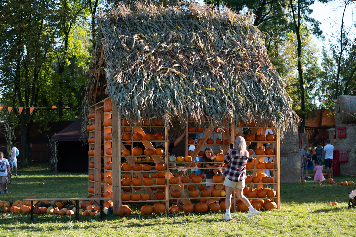 W mieście pojawiła się kolorowa farma dyniowa! / fot. Marek Faber